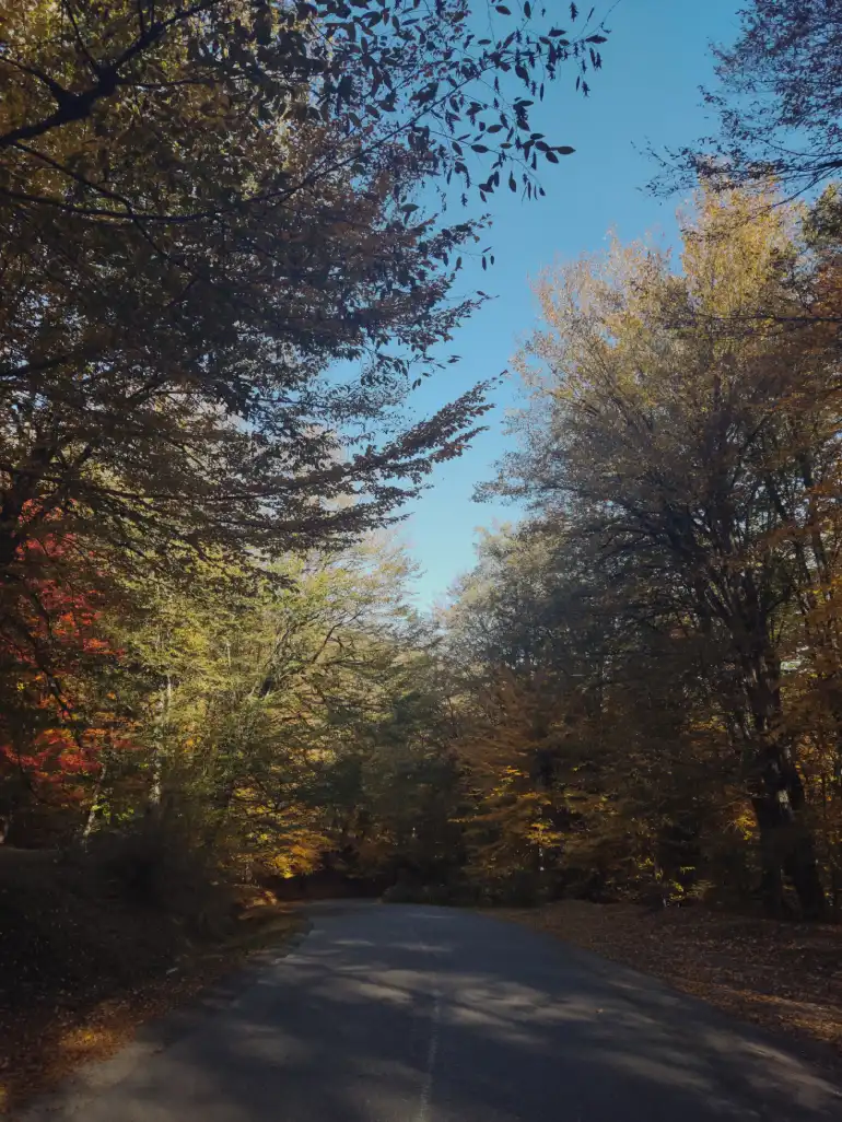 روستای بهمنان