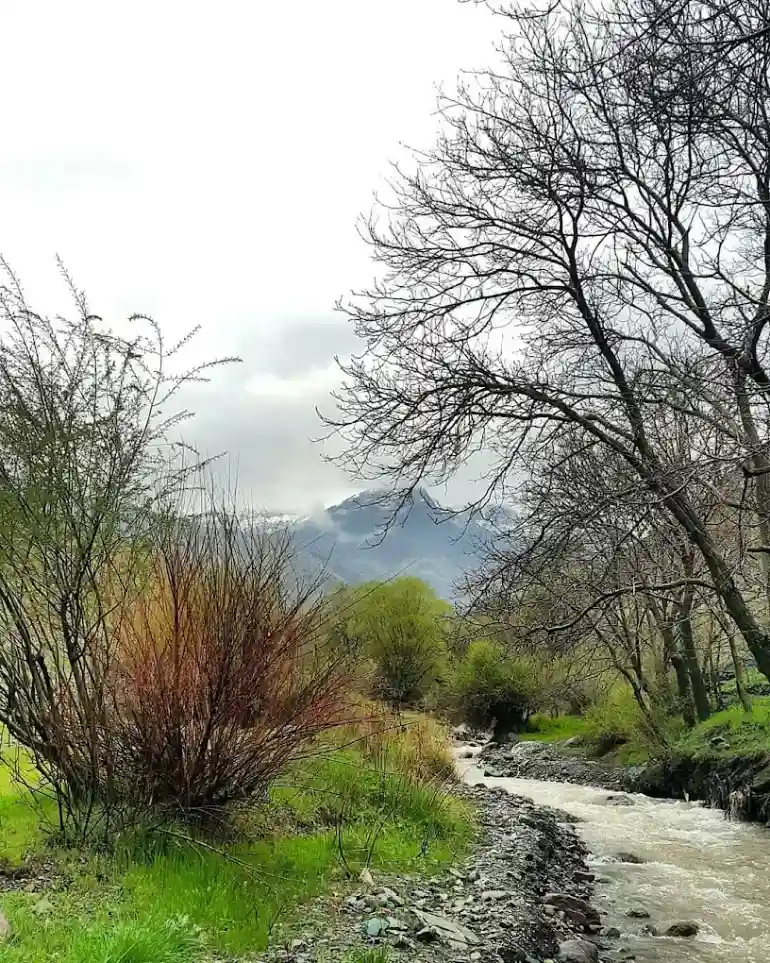 عکس از: سایت Google maps 