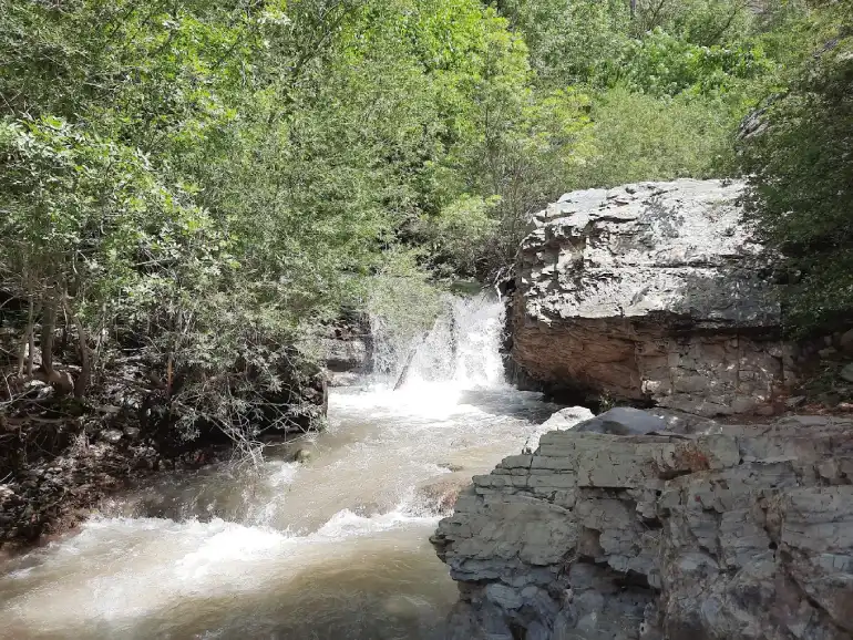 عکس از: سایت Google maps 