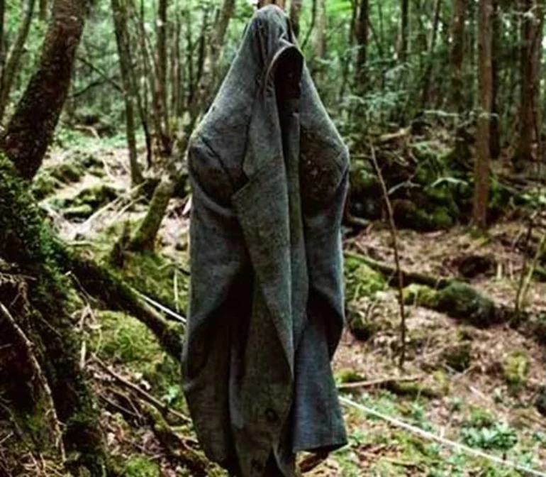 راز کلبه وحشت انزلی