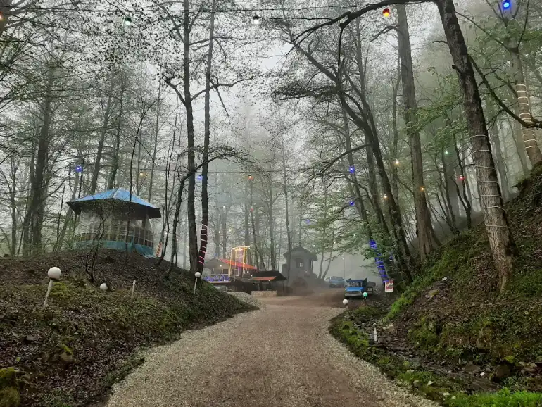 جنگل عباس آباد کجاست؟