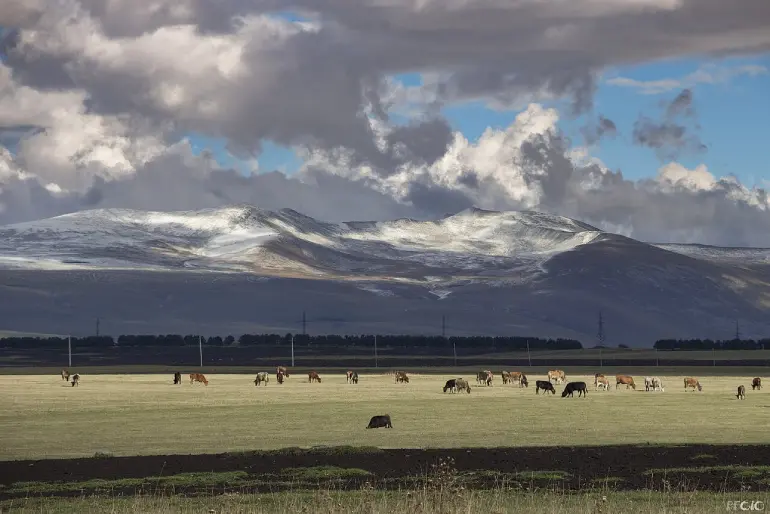 پارک ملی جاواختی (Javakheti National Park)