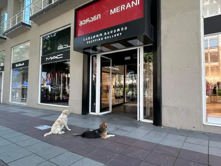 مرکز خرید مرانی مال (Merani Mall)