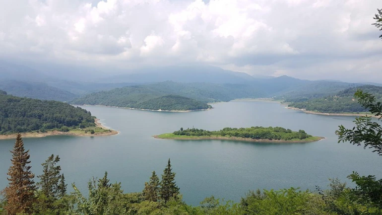 جنگل لفور سوادکوه