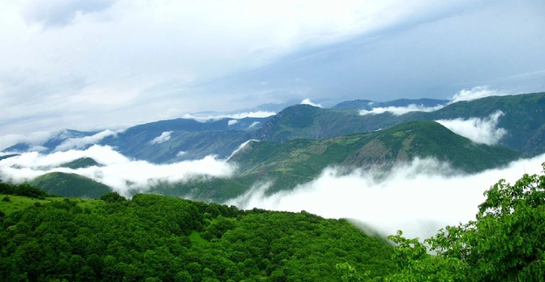 جنگل های ارسباران