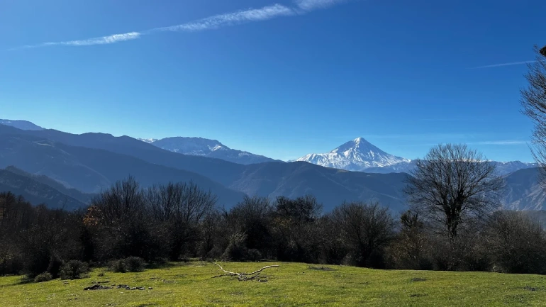 جنگل الیمستان