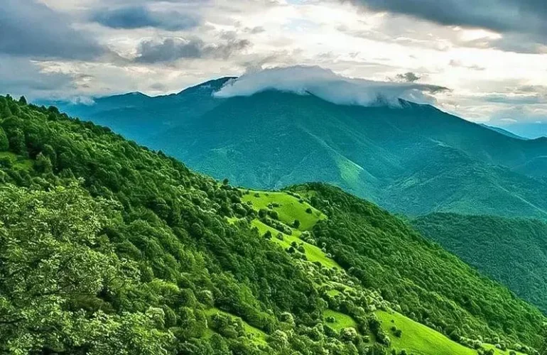 جنگل سیاهکل