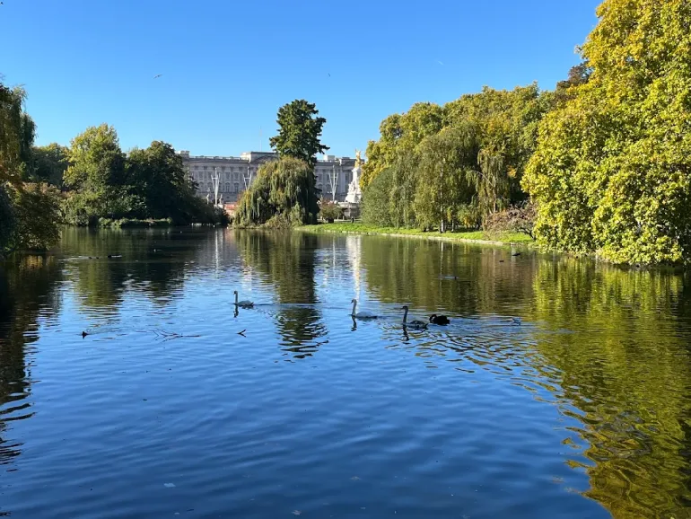 پارک سنت جیمز (St James's Park)
