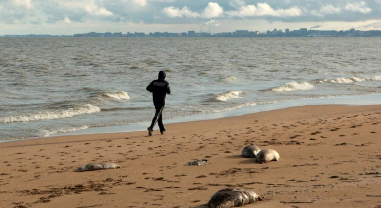 بهترین زمان بازدید از دریای خزر