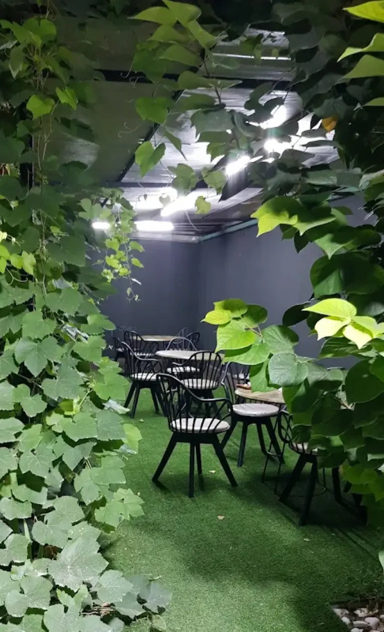 کافه رستوران وندا ساری