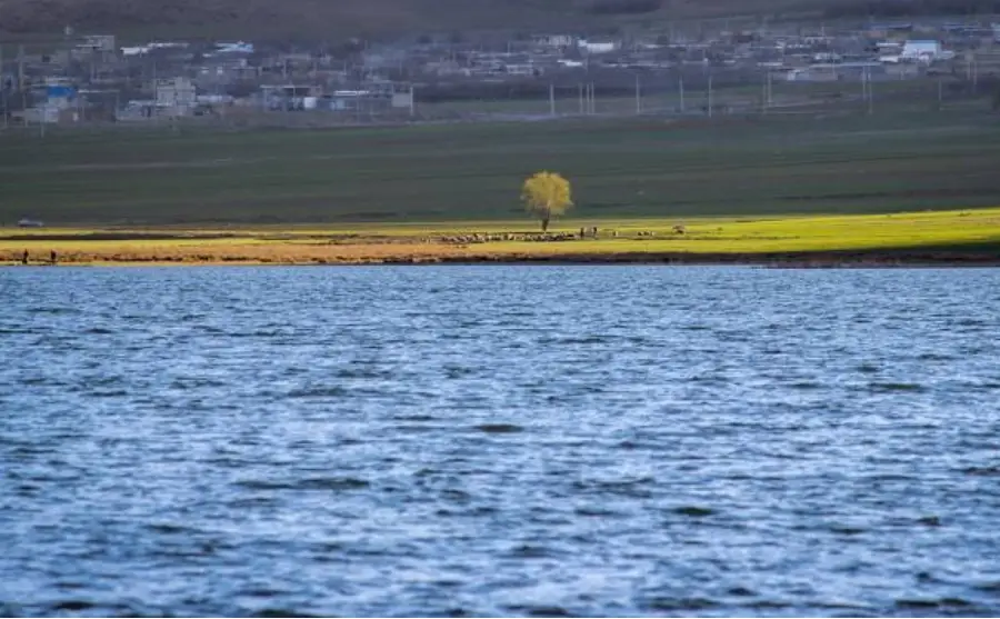 تالاب چغاخور