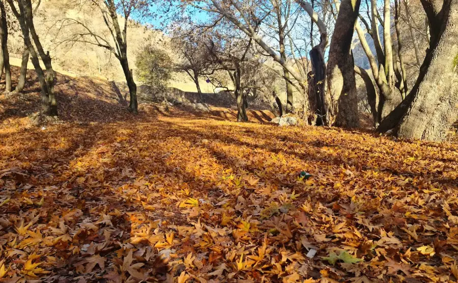 جاهای دیدنی چهار محال و بختیاری در پاییز