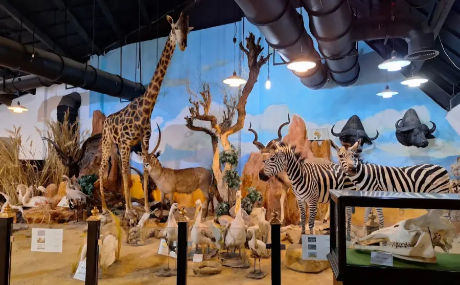 موزه طبیعت و حیات وحش دارآباد