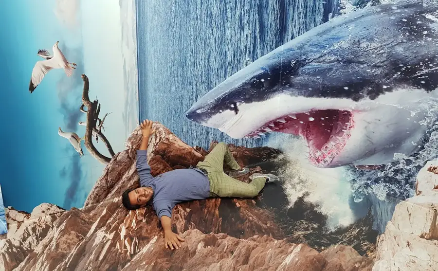 معرفی رویا پارک